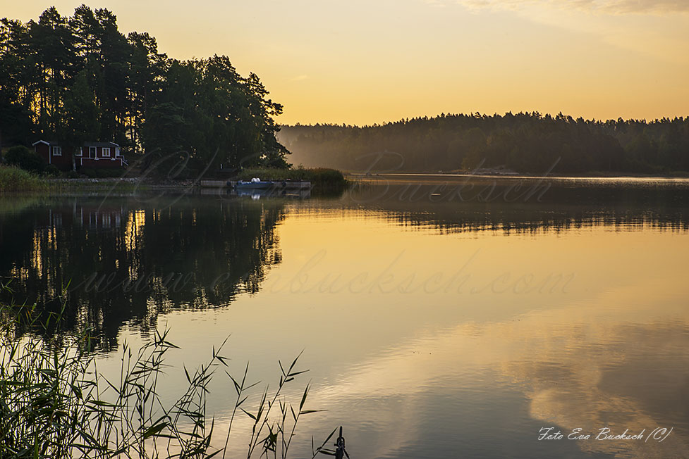 Foto av Eva Bucksch